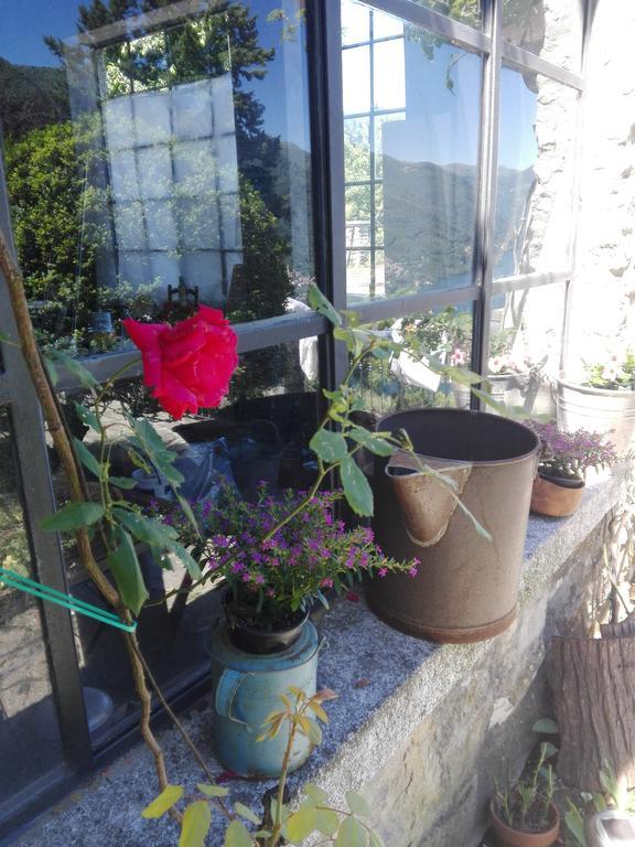 Sweet Home Faggeto Lario Exterior photo